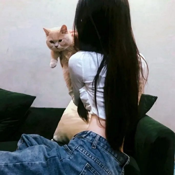 爱情不轮转